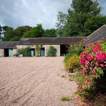 Knockanboy House Ballymoney Zewnętrze zdjęcie