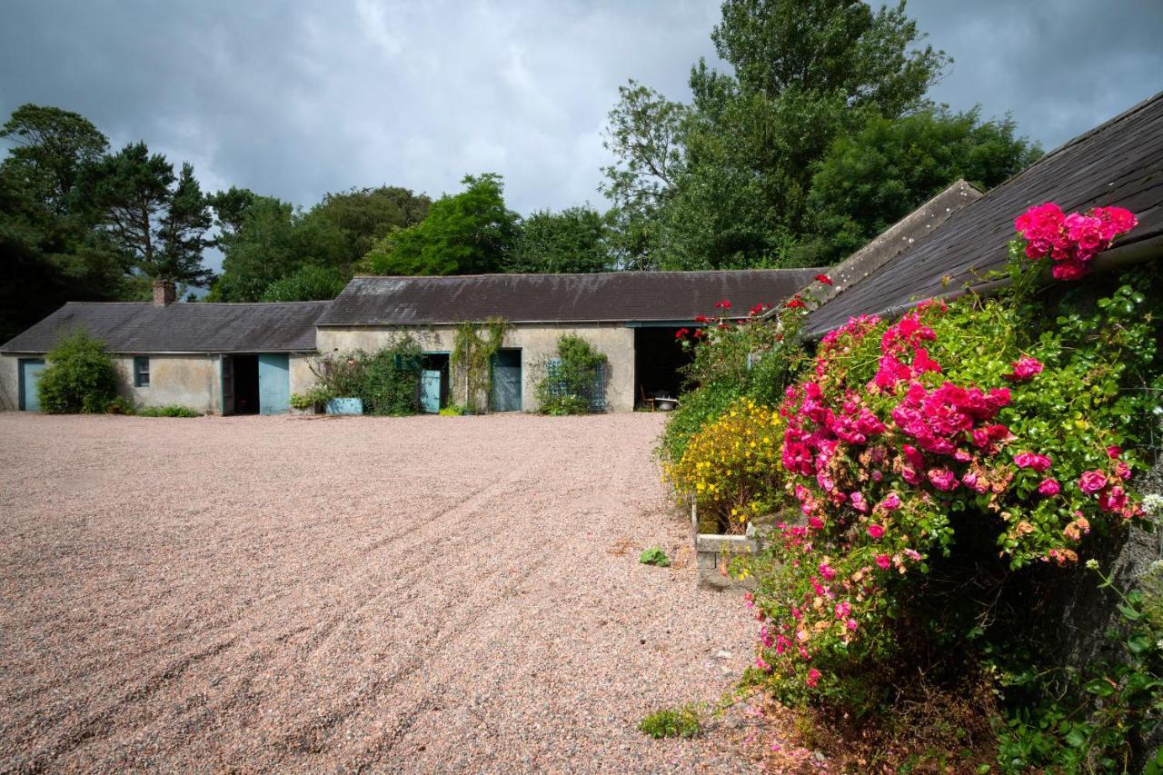 Knockanboy House Ballymoney Zewnętrze zdjęcie